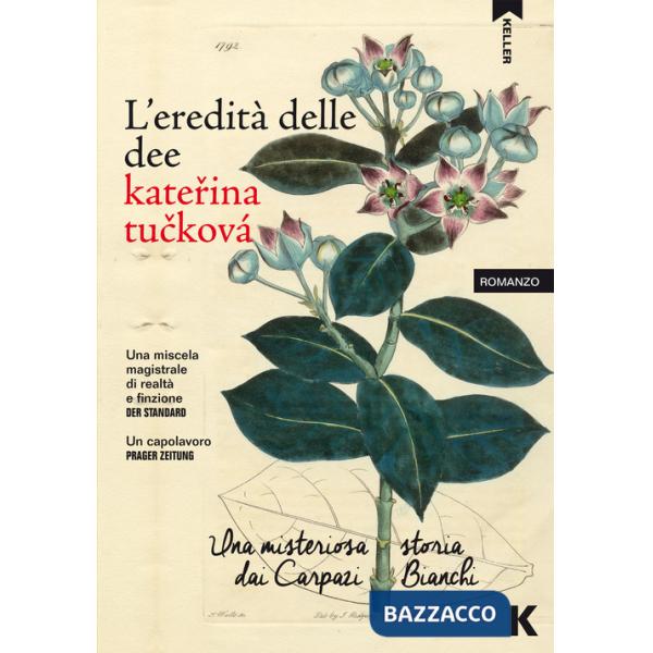 Eredità delle dee. Una misteriosa storia dai Carpazi Bianchi (L')