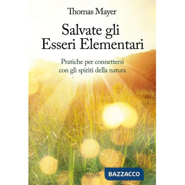 Salvate gli essere elementari. Pratiche per connettersi con gli spiriti della natura
