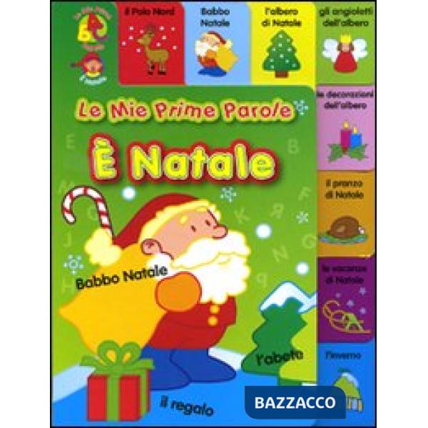 Natale. Ediz. illustrata (Il)