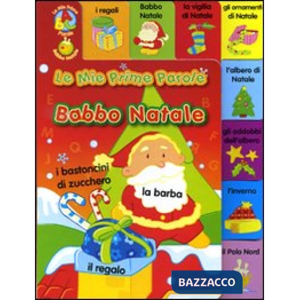 Babbo Natale. Ediz. illustrata