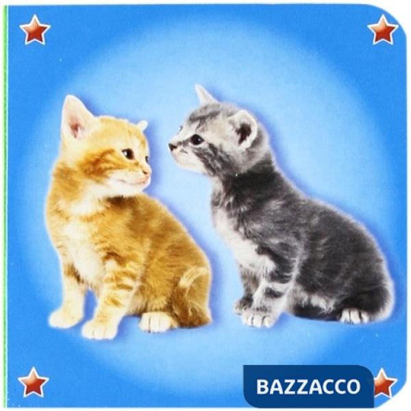 Gatti. I quadrottini