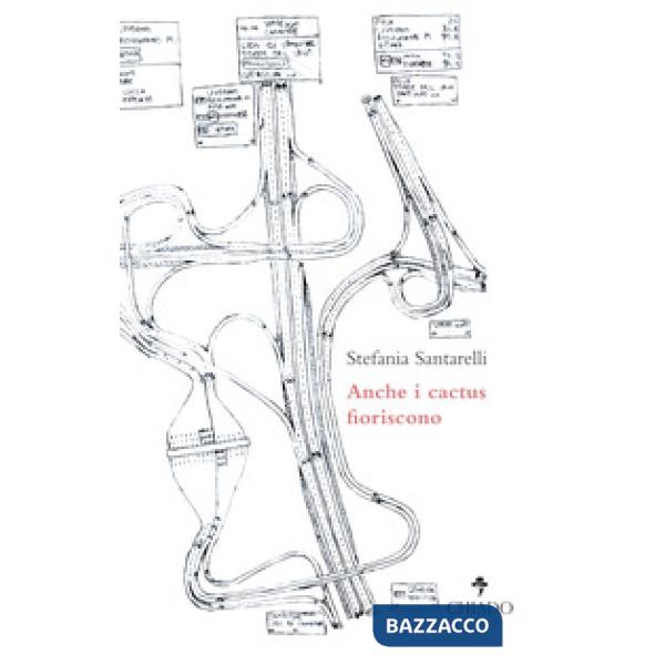 Anche i cactus fioriscono