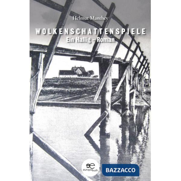 Wolkenschattenspiele. Ein Hallig-Roman