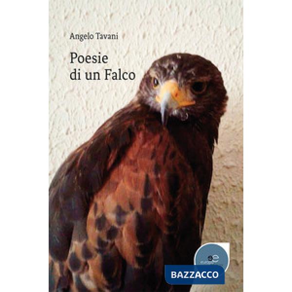 Poesie di un falco