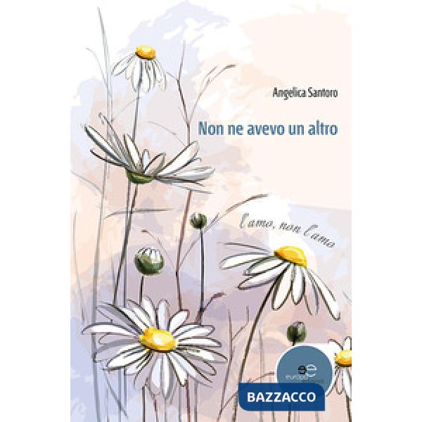 Non ne avevo un altro