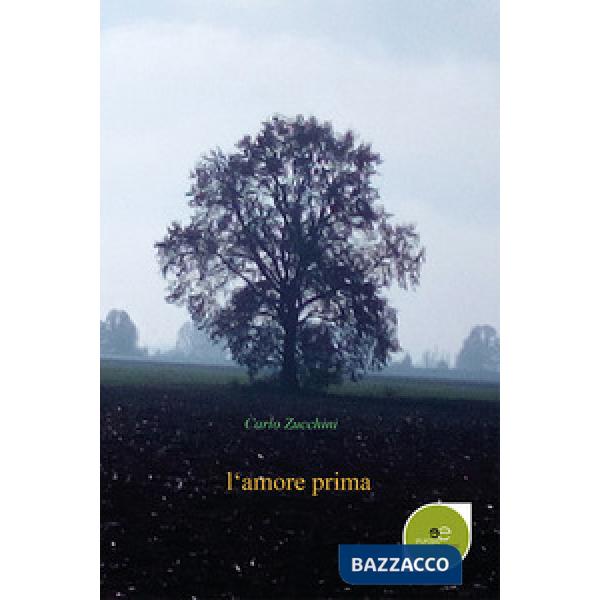 Amore prima (L')