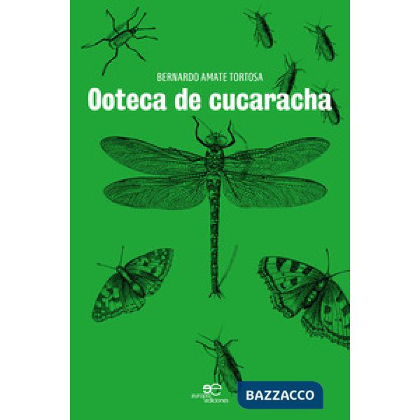 Ooteca de cucaracha