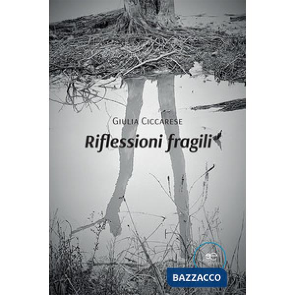 Riflessioni fragili