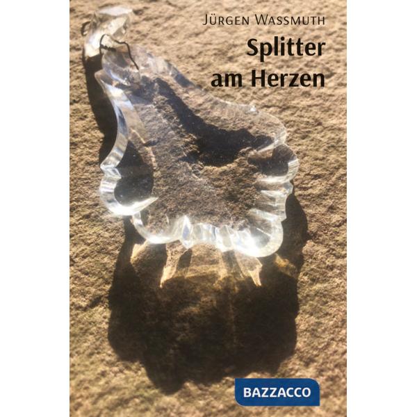Splitter am herzen. Ediz. illustrata