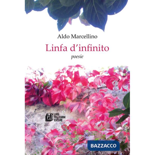 Linfa d'infinito