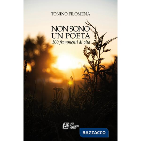 Non sono un poeta. 100 frammenti di vita