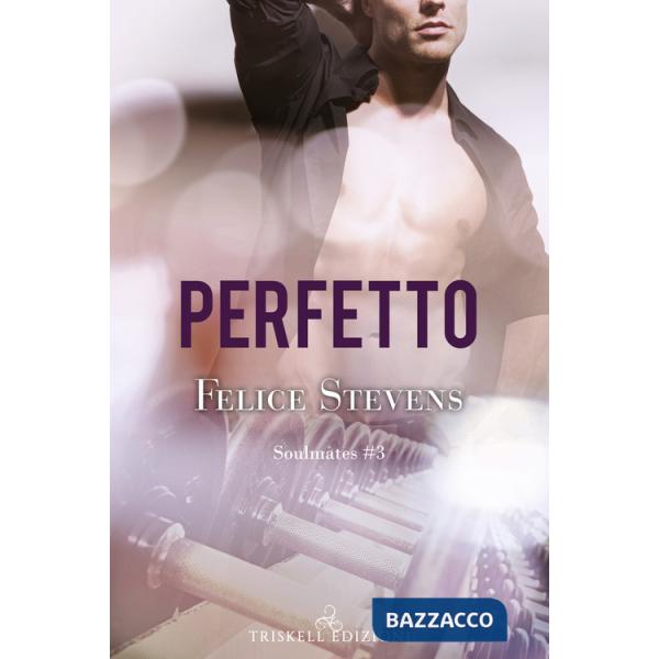Perfetto. Soulmates. Vol. 3