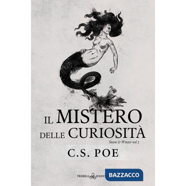 Mistero delle curiosità. Snow & Winter (Il). Vol. 2