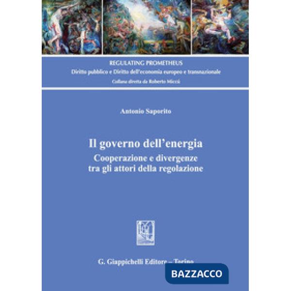 Il governo dell'energia. Cooperazione e divergenze tra gli attori della regolazione