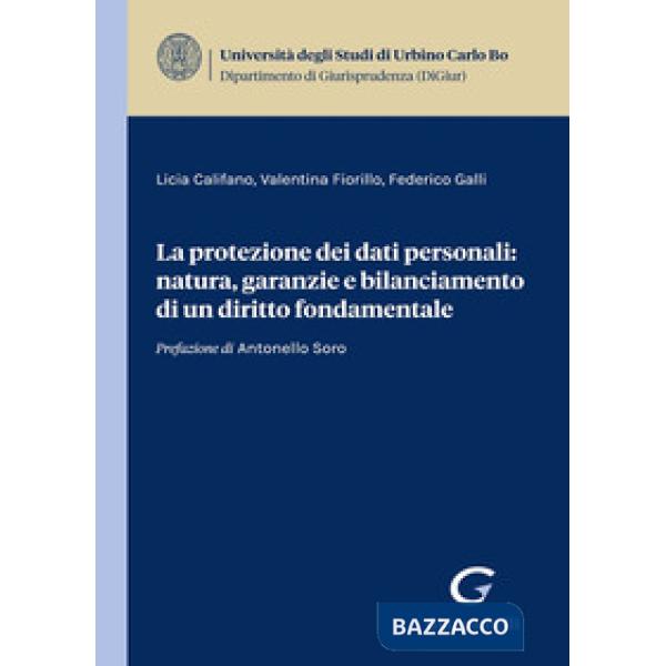 La protezione dei dati personali: natura, garanzie e bilanciamento di un diritto fondamentale