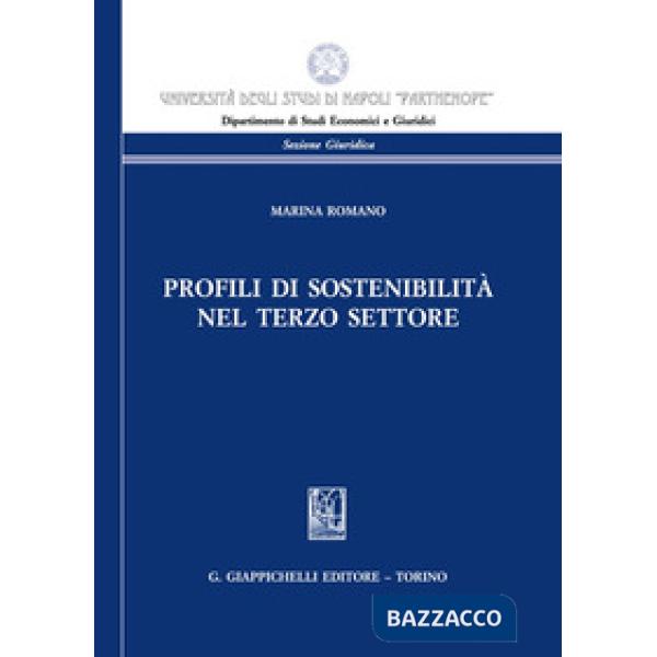 Profili di sostenibilità nel terzo settore