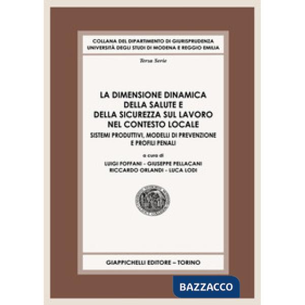 La dimensione dinamica della salute e della sicurezza sul lavoro nel contesto locale. Sistemi produttivi, modelli di prevenzione