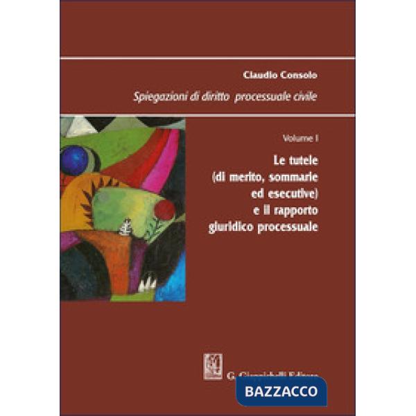Spiegazioni di diritto processuale civile