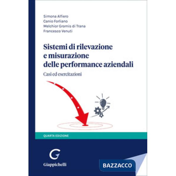 Sistemi di rilevazione e misurazione delle performance aziendali