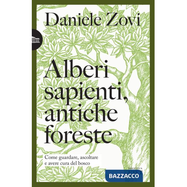 Alberi sapienti, antiche foreste. Come guardare, ascoltare e avere cura del bosco