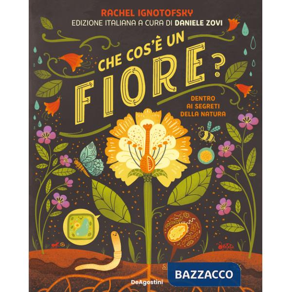 Che cos'è un fiore? Dentro ai segreti della natura