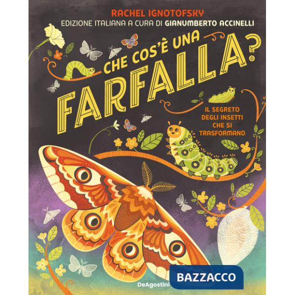 Che cos'è una farfalla? Il segreto degli insetti che si trasformano