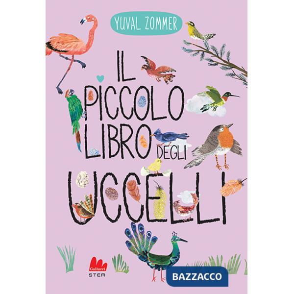 Piccolo libro degli uccelli. Ediz. a colori (Il)