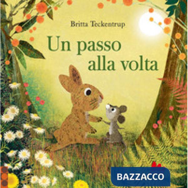 Passo alla volta. Ediz. a colori (Un)