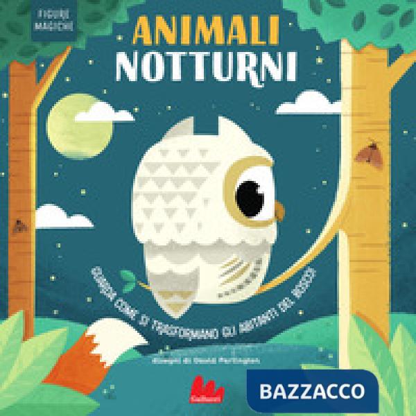 Animali notturni. Figure magiche. Ediz. a colori