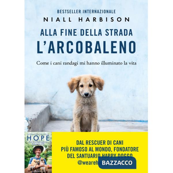 Alla fine della strada l'arcobaleno. Come i cani randagi mi hanno illuminato la vita