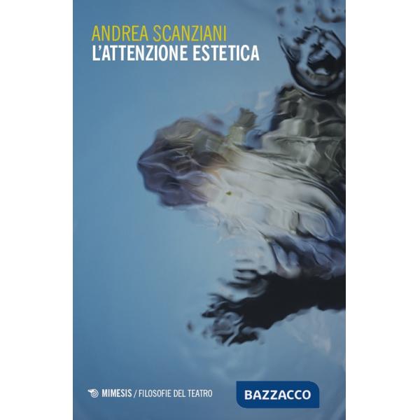 Attenzione estetica (L')