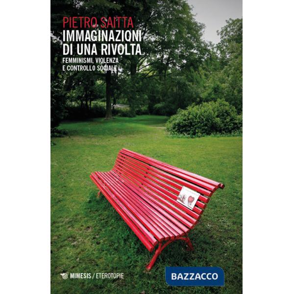 Immaginazioni di una rivolta. Femminismi, violenza e controllo sociale