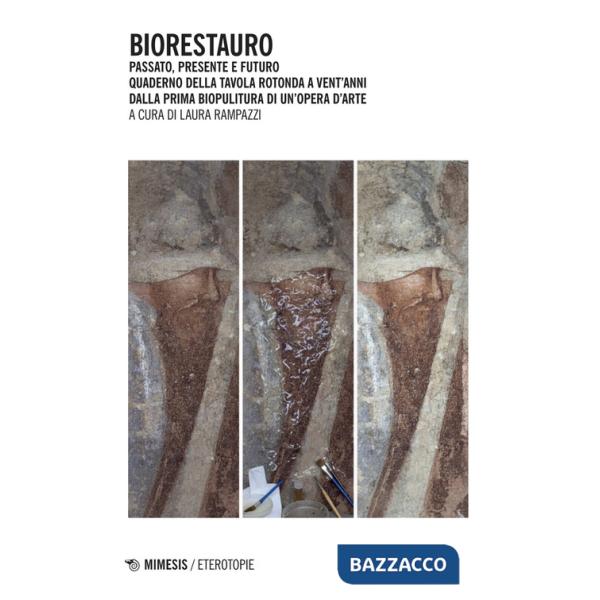 Biorestauro. Passato, presente e futuro. Quaderno della tavola rotonda a vent'anni dalla prima biopulitura di un'opera d'arte