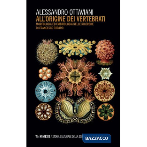 All'origine dei vertebrati. Morfologia ed embriologia nelle ricerche di Francesco Todaro