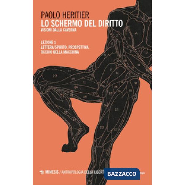 Schermo del diritto (Lo). Vol. 1: Lettera/spirito, prospettiva, occhio della macchina