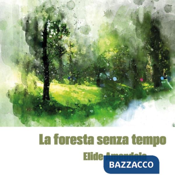 Foresta senza tempo (La)