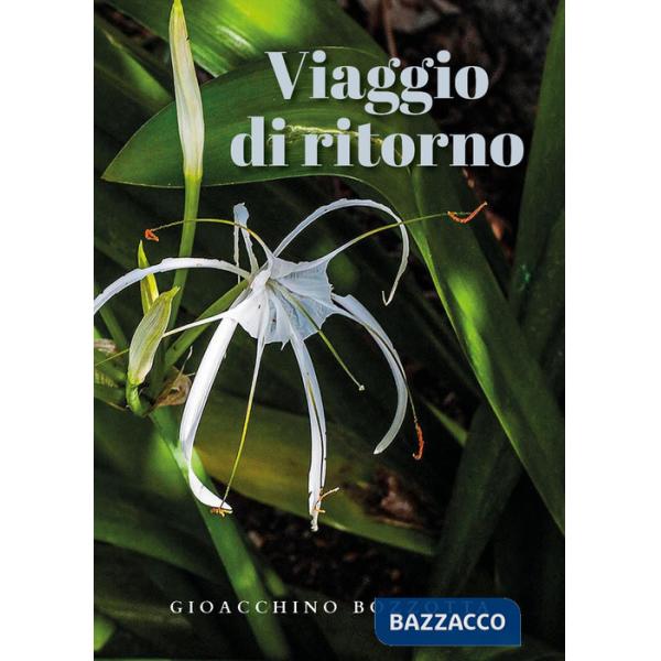 Viaggio di ritorno