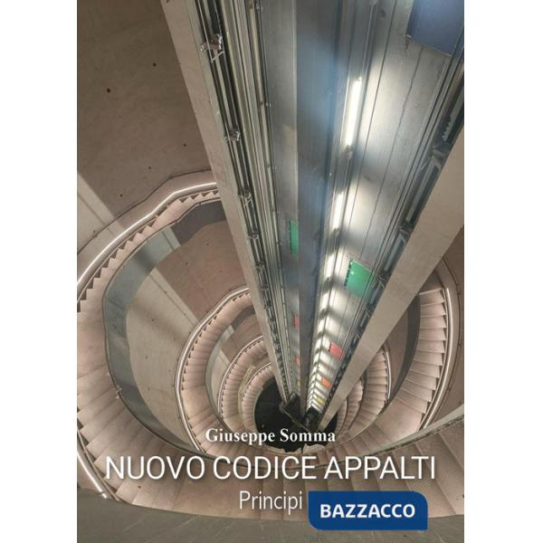 Codice degli appalti. Principi
