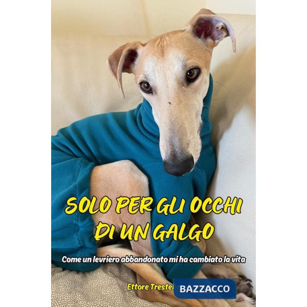 Solo per occhi di un galgo. Come un levriero abbandonato mi ha cambiato la vita