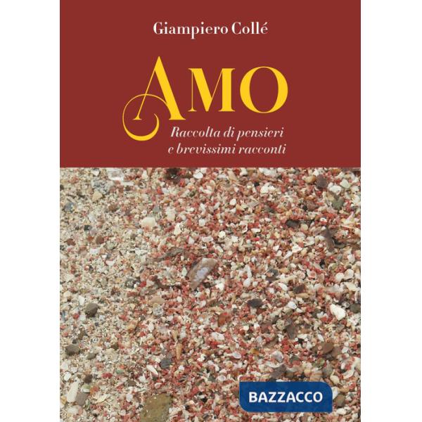 Amo. Raccolta di pensieri e brevissimi racconti
