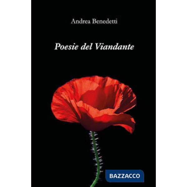 Poesie del viandante