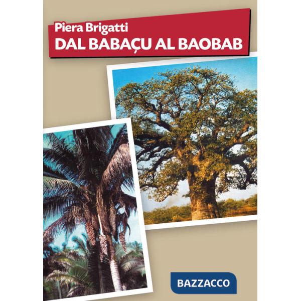 Dal babaçu al baobab