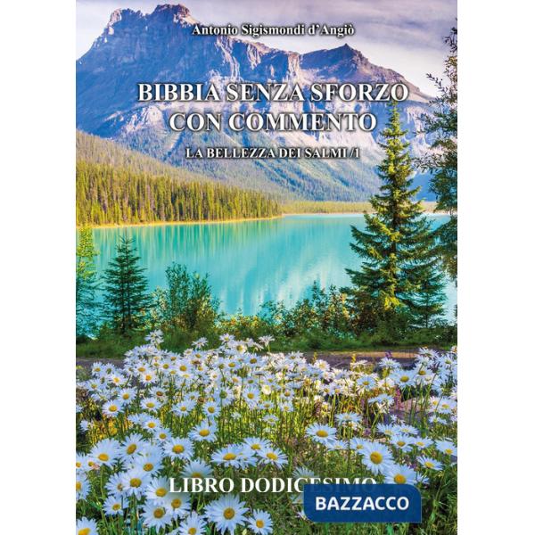 Bibbia senza sforzo con commento. La bellezza dei salmi. Vol. 1