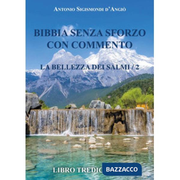Bibbia senza sforzo con commento. La bellezza dei salmi. Vol. 2