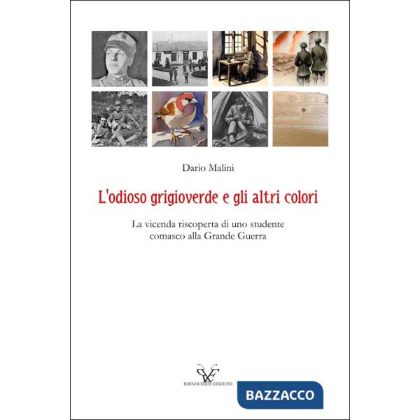 Odioso grigioverde e gli altri colori. La vicenda riscoperta di uno studente comasco alla Grande Guerra (L')