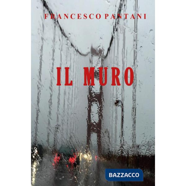 Muro (Il)