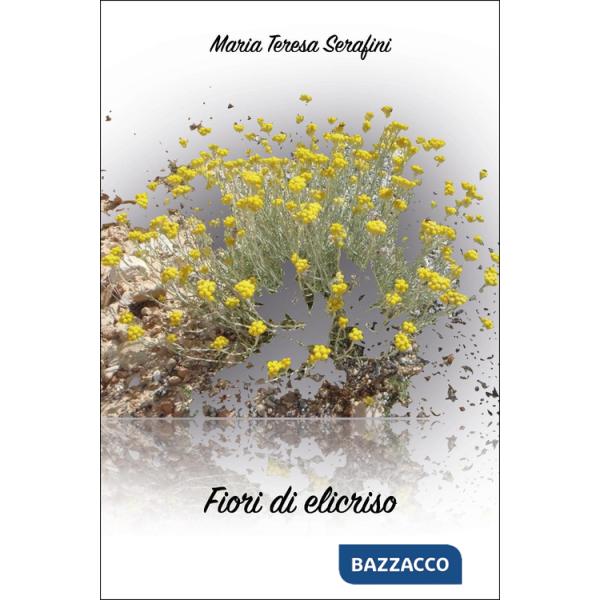 Fiori di elicriso