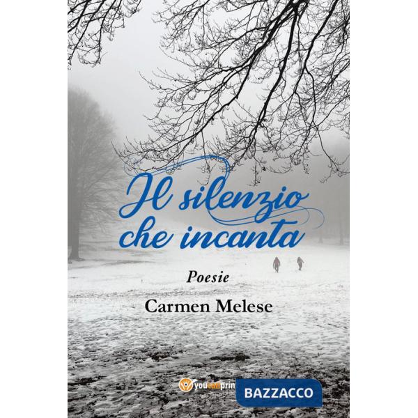 Silenzio che incanta (Il)