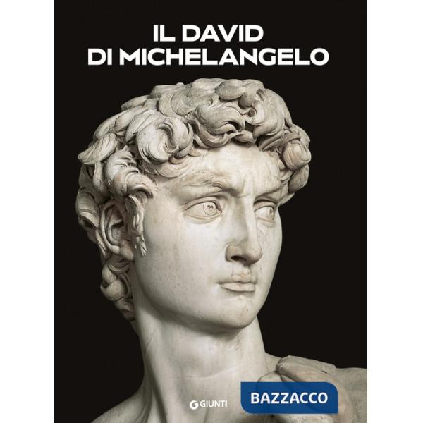David di Michelangelo (Il)