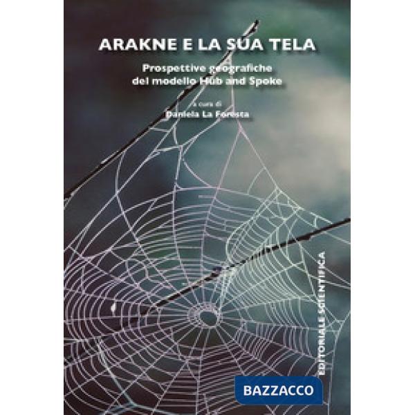 Arakne e la sua tela. Prospettive geografiche del modello Hub and Spoke